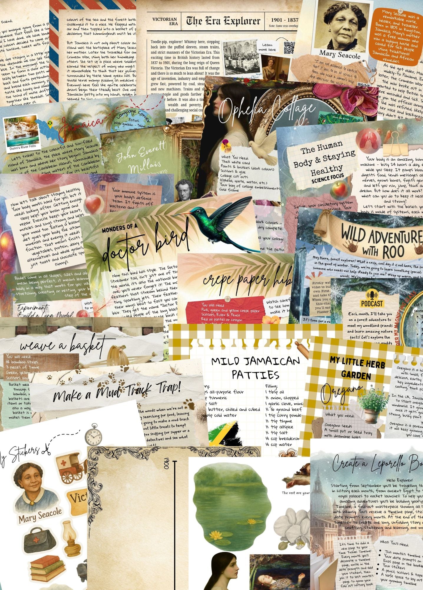 Courage Across Seas Download Only - January