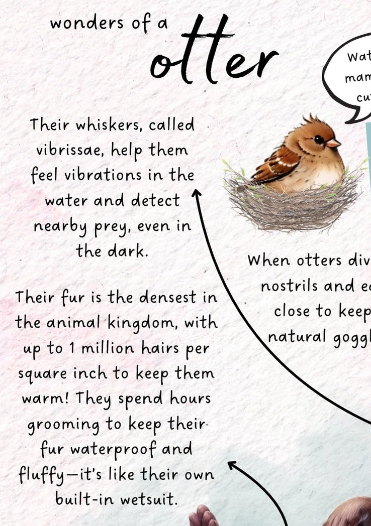Otter