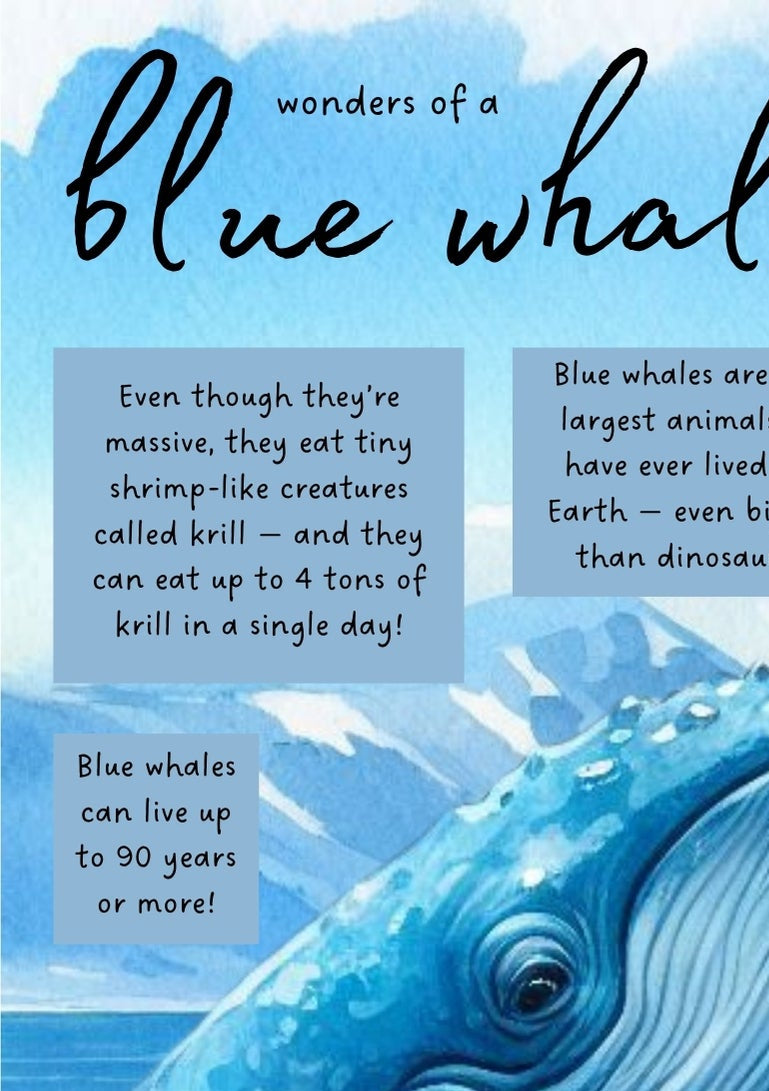 Blue Whale