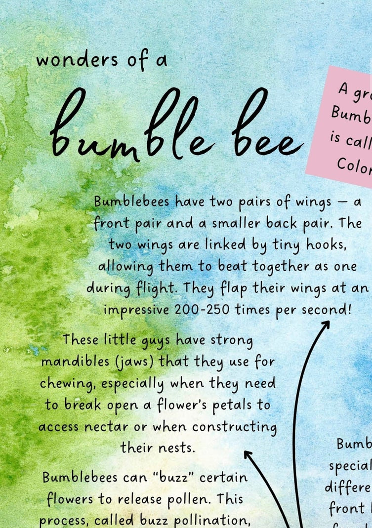 Bumble Bee