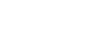 whimsy & bug