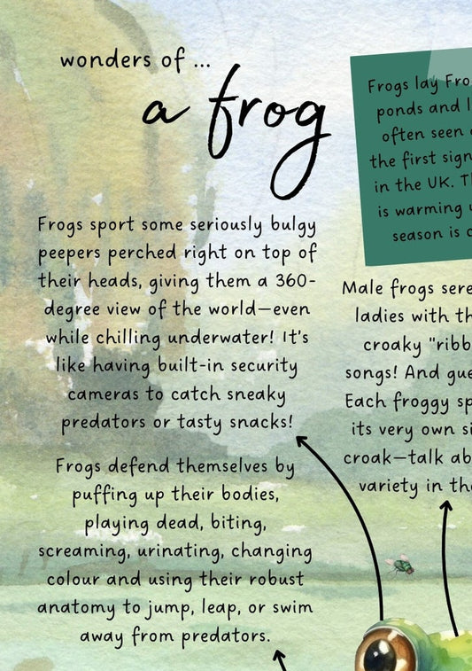 Frog