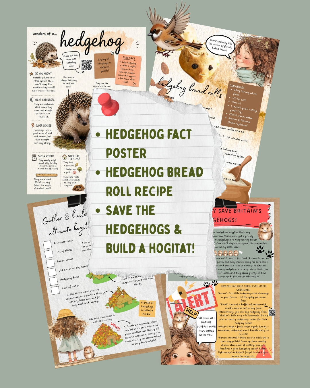 Hedgehog Activity & Learning Pack